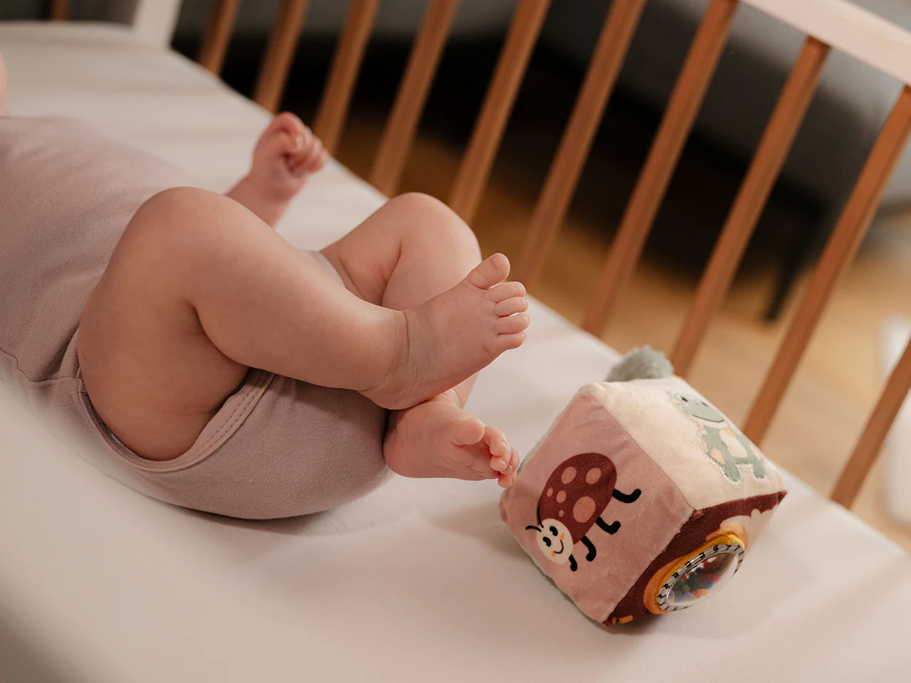 Dreambaby – Odoo ERP project delivered by Eezee